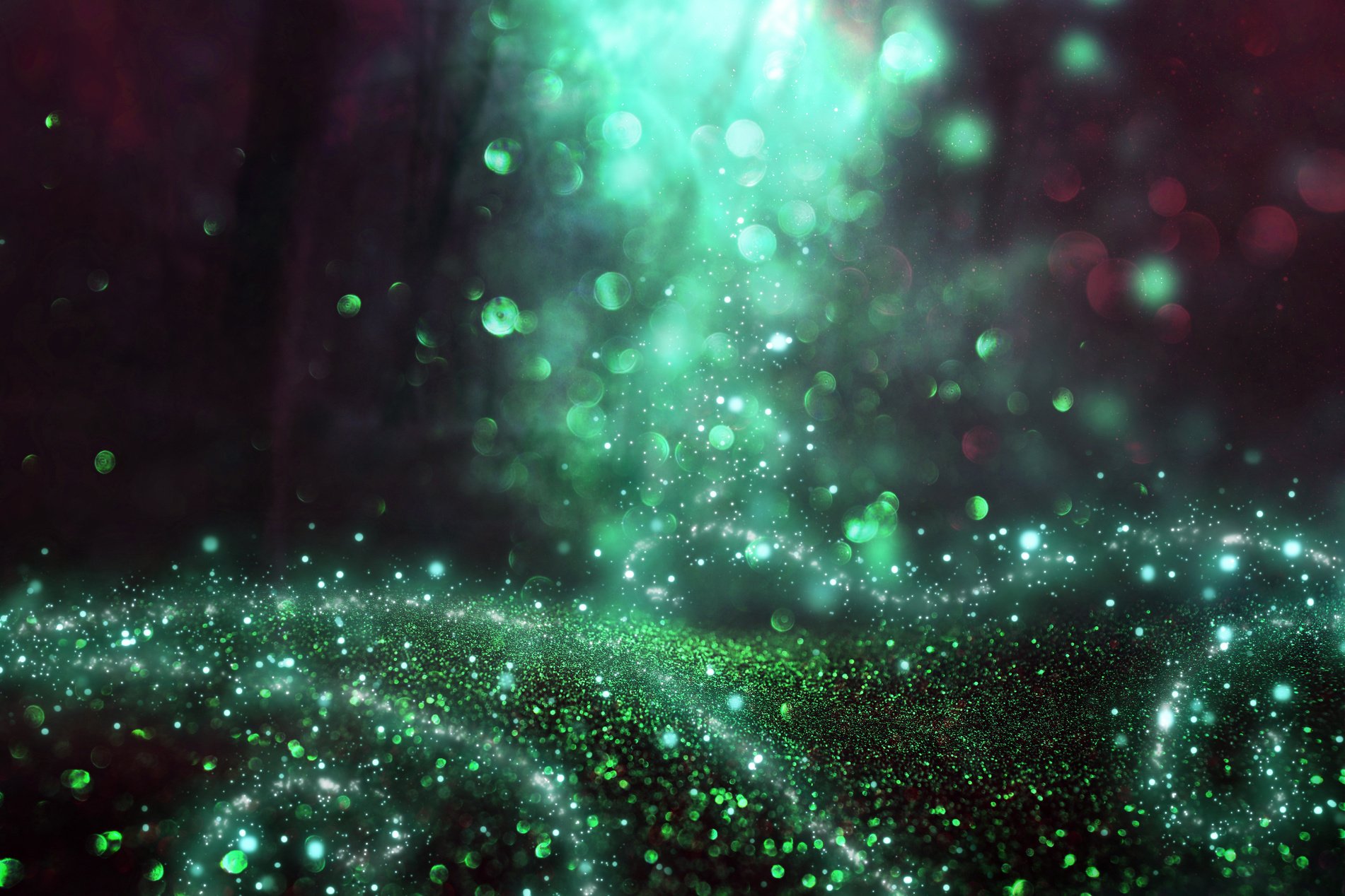 Abstract and magical image of glitter Firefly flying in the night forest. Fairy tale concept.